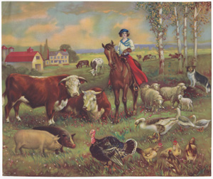 [woman on horseback with farm animals in field]